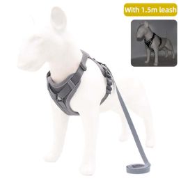 Wholesale dog harness with 1.5m leash (size: L, color: gray)