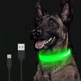 LED Glowing Dog Collar Rechargeable Luminous Collar Adjustable large Dog Night Light Collar Pet Safety Collar for Small Dogs Cat ,halloween pet collar (size: M, color: Blue Battery)