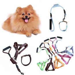 Dog Leash Two-color Machine Woven Nylon Handle Round Rope Pockmark Pet Chest Back Collar Pet Supplies (size: 2, color: Black)