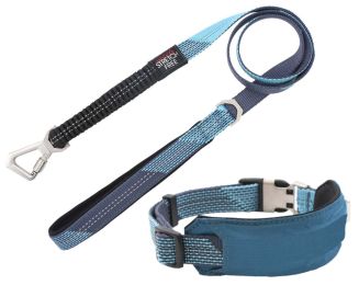 Pet Life 'Geo-prene' 2-in-1 Shock Absorbing Neoprene Padded Reflective Dog Leash and Collar (size: large, color: blue)